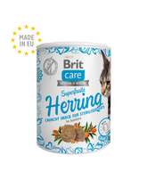 Brit Care Superfruits Herring with Sea Buckthorn 100 G